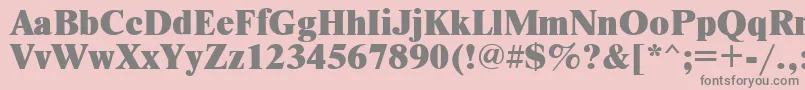 フォントTimesetxRus – ピンクの背景に灰色の文字
