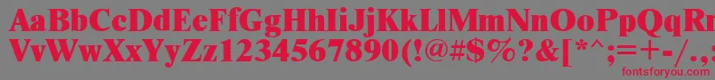 TimesetxRus-Schriftart – Rote Schriften auf grauem Hintergrund