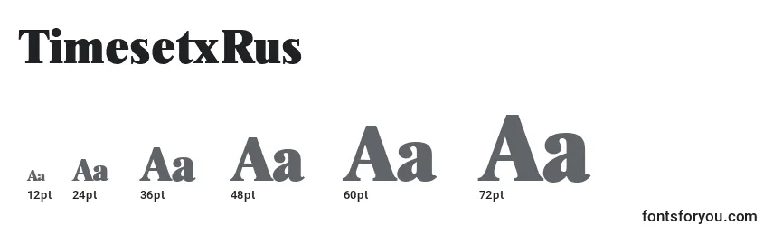 TimesetxRus Font Sizes