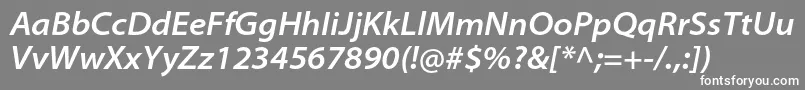 フォントMyriadproSemiboldsemiextit – 灰色の背景に白い文字