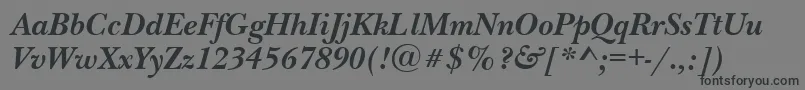 NewbaskervilletttBolditalic Font – Black Fonts on Gray Background