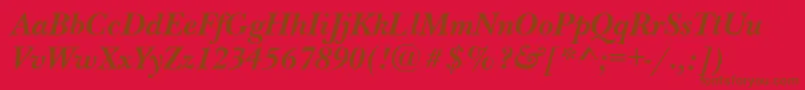 NewbaskervilletttBolditalic Font – Brown Fonts on Red Background