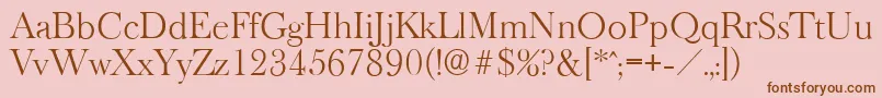 BaskeroldserialLightRegular Font – Brown Fonts on Pink Background