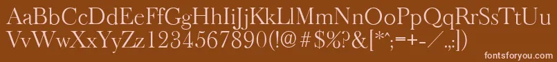 フォントBaskeroldserialLightRegular – 茶色の背景にピンクのフォント