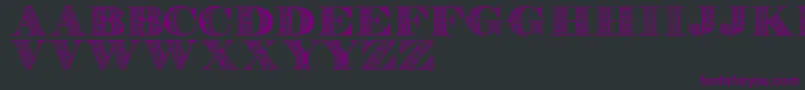 Digizenpersonaluse Font – Purple Fonts on Black Background