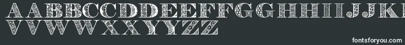 フォントDigizenpersonaluse – 黒い背景に白い文字