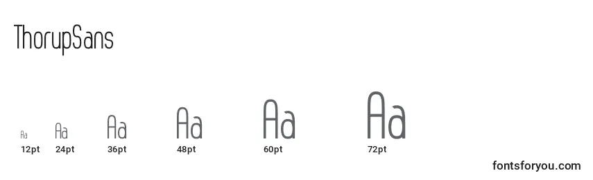 ThorupSans Font Sizes