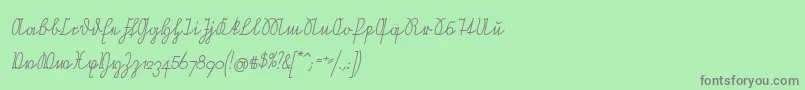 NeueRudelskopfVerbundenSchraeg Font – Gray Fonts on Green Background