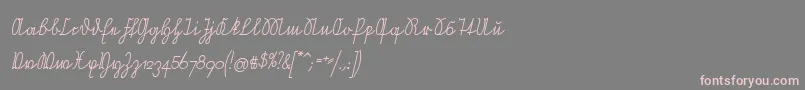 NeueRudelskopfVerbundenSchraeg Font – Pink Fonts on Gray Background