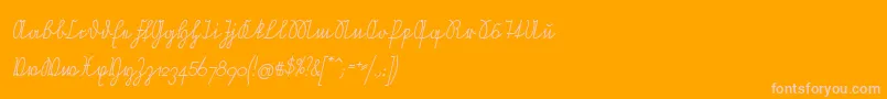 NeueRudelskopfVerbundenSchraeg Font – Pink Fonts on Orange Background