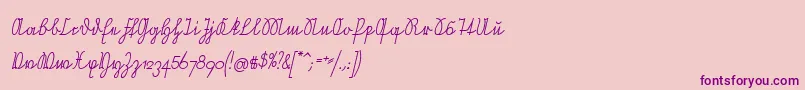 NeueRudelskopfVerbundenSchraeg Font – Purple Fonts on Pink Background