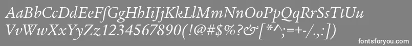 フォントLegacySerifItcBookItalic – 灰色の背景に白い文字