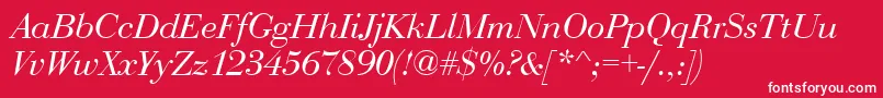 BediniItalic Font – White Fonts on Red Background