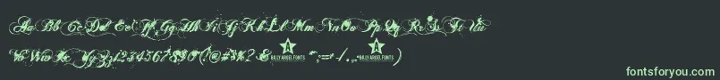 Ginga Font – Green Fonts on Black Background