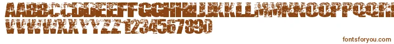 Шрифт Destruccion – коричневые шрифты на белом фоне