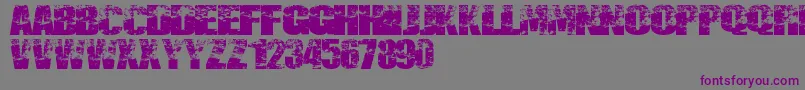 フォントDestruccion – 紫色のフォント、灰色の背景