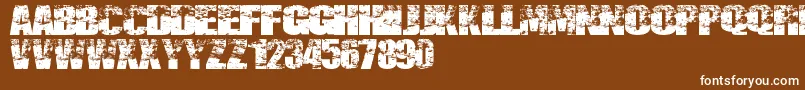 Destruccion Font – White Fonts on Brown Background
