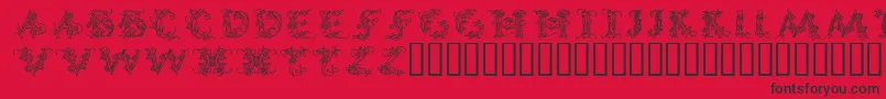 CallipsografiaMedium Font – Black Fonts on Red Background