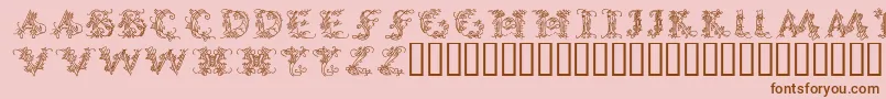 CallipsografiaMedium Font – Brown Fonts on Pink Background