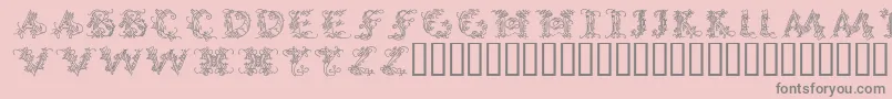 CallipsografiaMedium Font – Gray Fonts on Pink Background