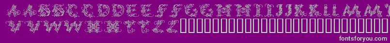 CallipsografiaMedium Font – Green Fonts on Purple Background