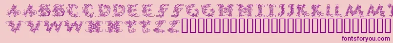 CallipsografiaMedium Font – Purple Fonts on Pink Background