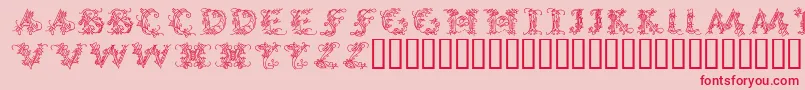 CallipsografiaMedium Font – Red Fonts on Pink Background