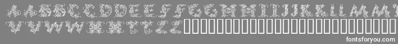 フォントCallipsografiaMedium – 灰色の背景に白い文字