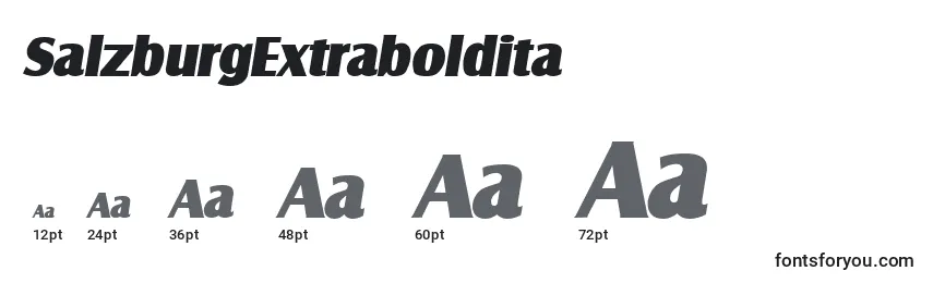 Размеры шрифта SalzburgExtraboldita