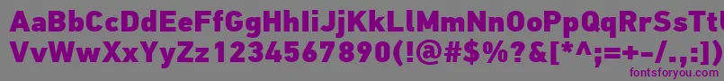 PfdintextproExtrablack Font – Purple Fonts on Gray Background