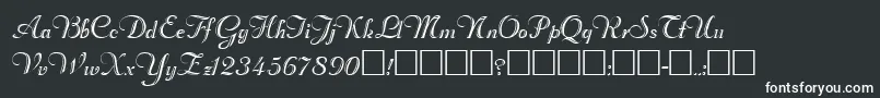 Rechtman Font – White Fonts on Black Background