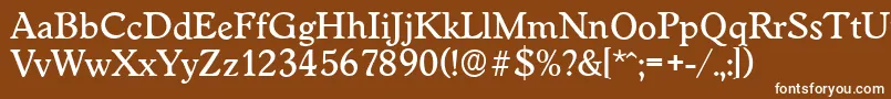 WorcesterserialMediumRegular Font – White Fonts on Brown Background
