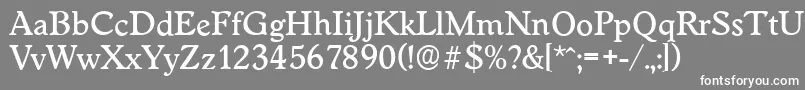 フォントWorcesterserialMediumRegular – 灰色の背景に白い文字