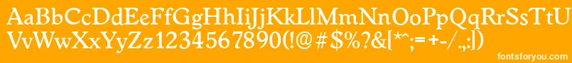 WorcesterserialMediumRegular Font – White Fonts on Orange Background