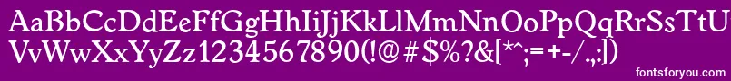 Czcionka WorcesterserialMediumRegular – białe czcionki na fioletowym tle