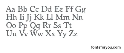 Review of the WorcesterserialMediumRegular Font