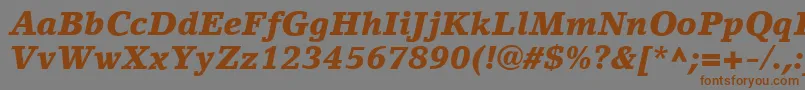 LinoLetterLtBlackItalic Font – Brown Fonts on Gray Background