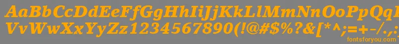 LinoLetterLtBlackItalic Font – Orange Fonts on Gray Background