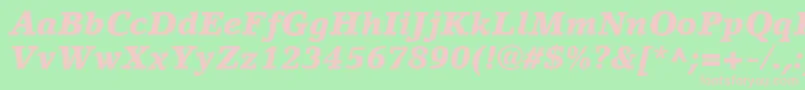 LinoLetterLtBlackItalic Font – Pink Fonts on Green Background