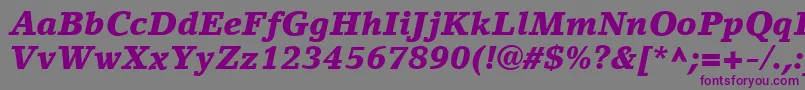 Czcionka LinoLetterLtBlackItalic – fioletowe czcionki na szarym tle