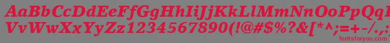 LinoLetterLtBlackItalic Font – Red Fonts on Gray Background