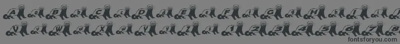 FerretBodyNormal Font – Black Fonts on Gray Background