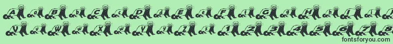 FerretBodyNormal Font – Black Fonts on Green Background