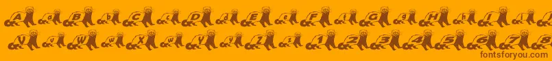 FerretBodyNormal Font – Brown Fonts on Orange Background