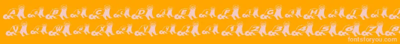 FerretBodyNormal Font – Pink Fonts on Orange Background