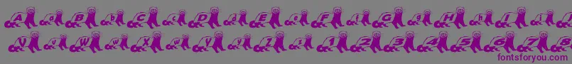 FerretBodyNormal Font – Purple Fonts on Gray Background