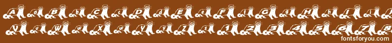 FerretBodyNormal Font – White Fonts on Brown Background