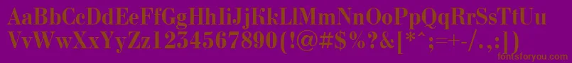 BodoninovanrBold-Schriftart – Braune Schriften auf violettem Hintergrund
