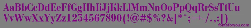 BodoninovanrBold Font – Purple Fonts on Gray Background