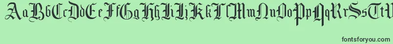 MottisfontNo1 Font – Black Fonts on Green Background